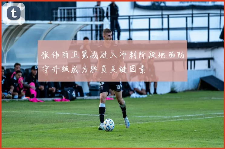 张伟丽卫冕战进入冲刺阶段地面防守升级成为胜负关键因素